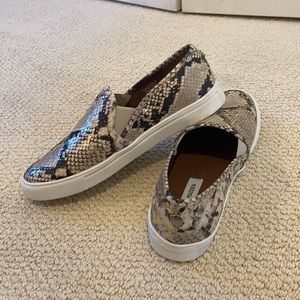 Snake skin Steve Madden slip on shoe